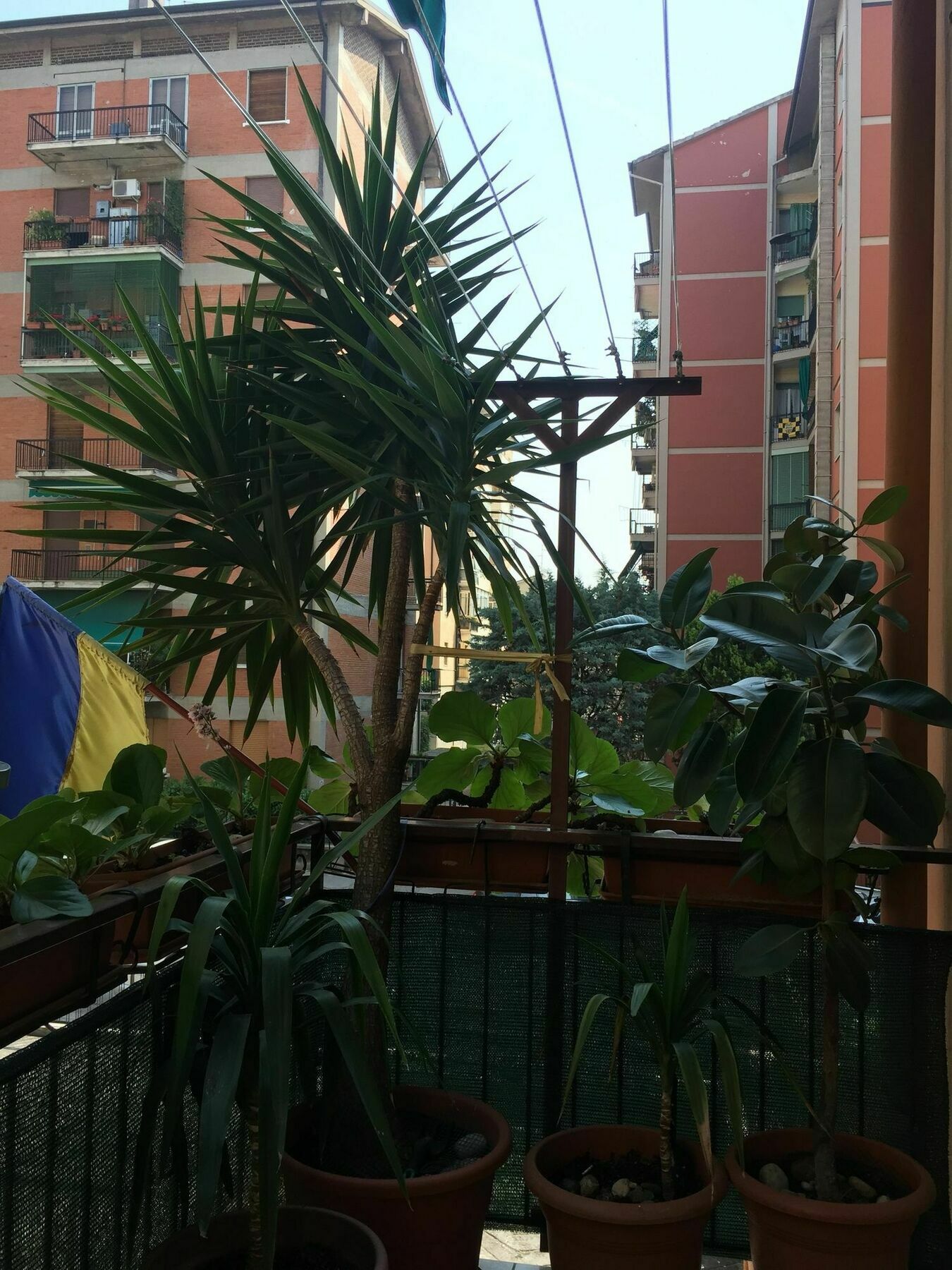 Locazione Turistica Sole Hotel Verona Buitenkant foto